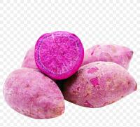 PURPLE POTATO